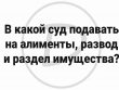 Раздел имущества при разводе - какой суд вам поможет?