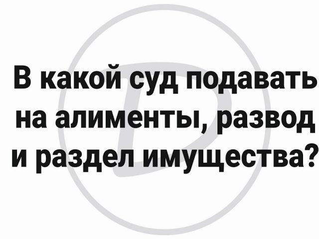 Раздел имущества при разводе - какой суд вам поможет?