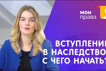 Незваные гости — как распознать маленьких тараканов в вашей квартире